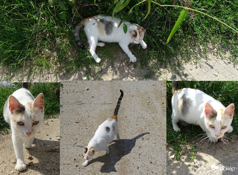 Elég az árnyékból!