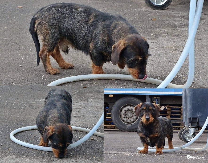 A tavaszra várnunk kell 