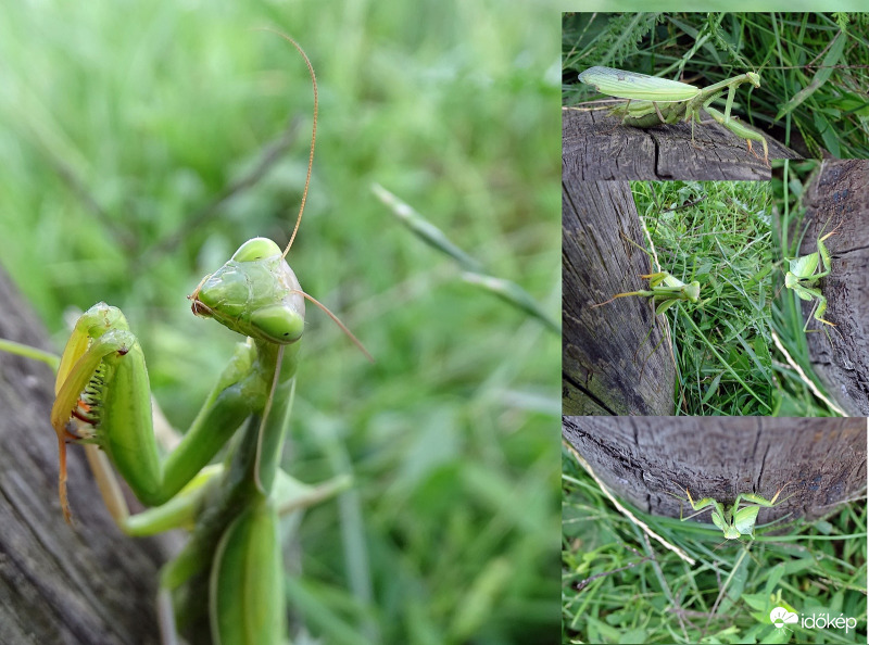 Sportoljatok!  Másszatok Ti is!
