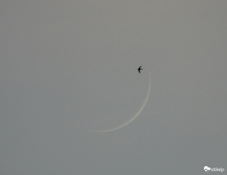 Astronomia