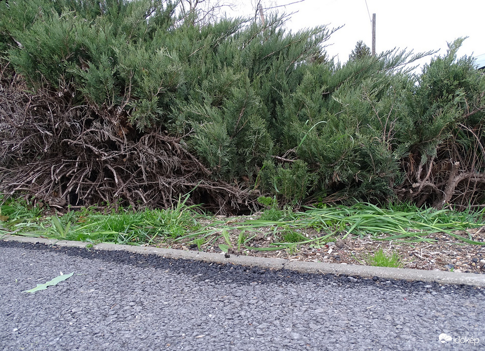 18:38 Jó reggelt He!