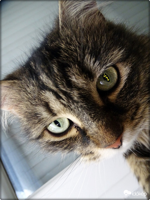 Kemény napok jönnek!