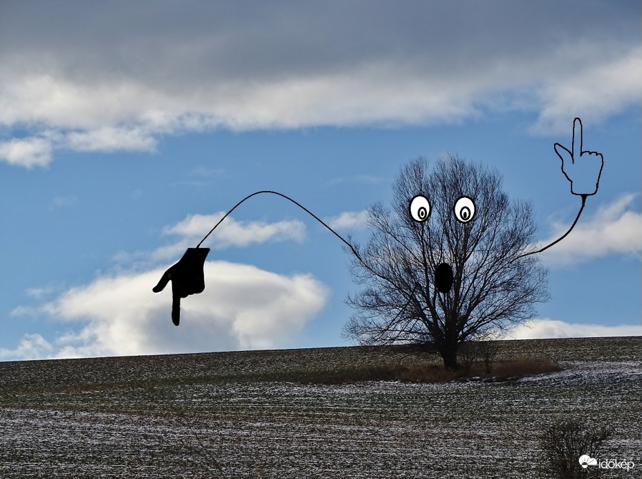 Talán eddig még nem jeleztem, 