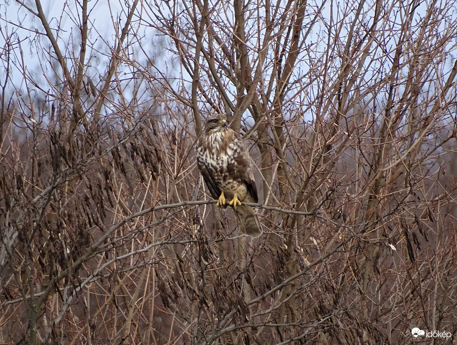 Ahová nézel, ott vagyok