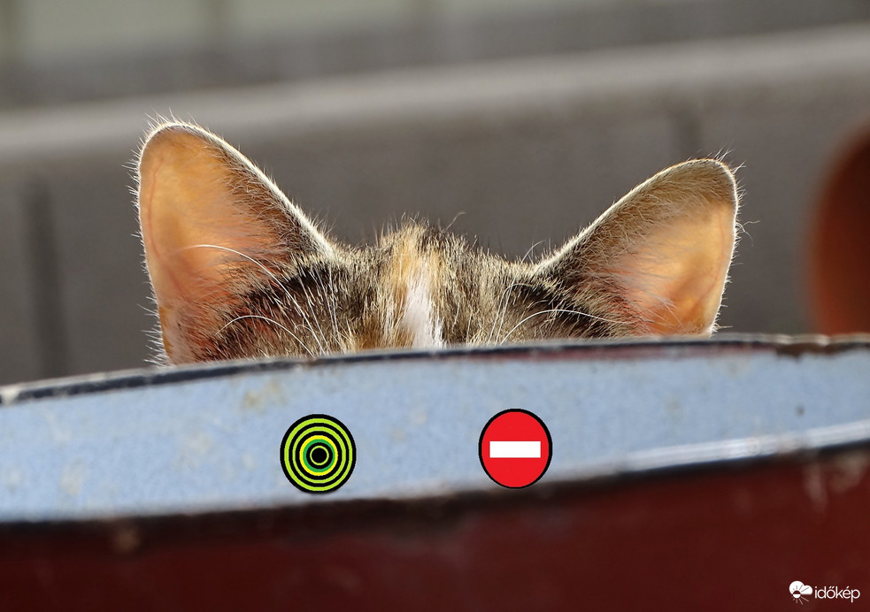 Arra való tekintettel! 