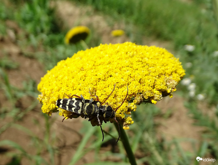 Az óramutató járásával  mi nem foglalkozunk 