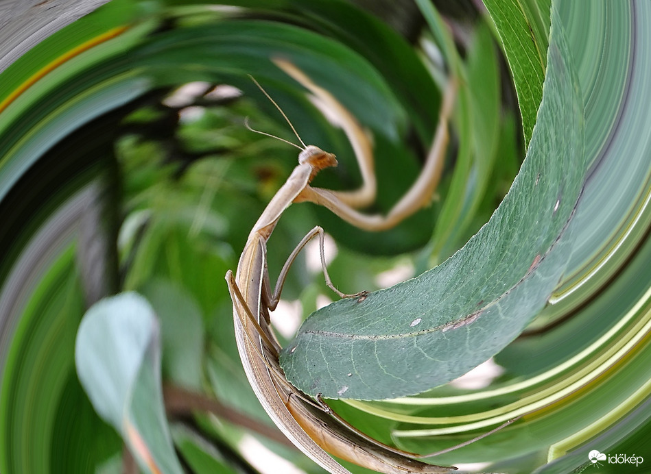 Térhajlítás közben 