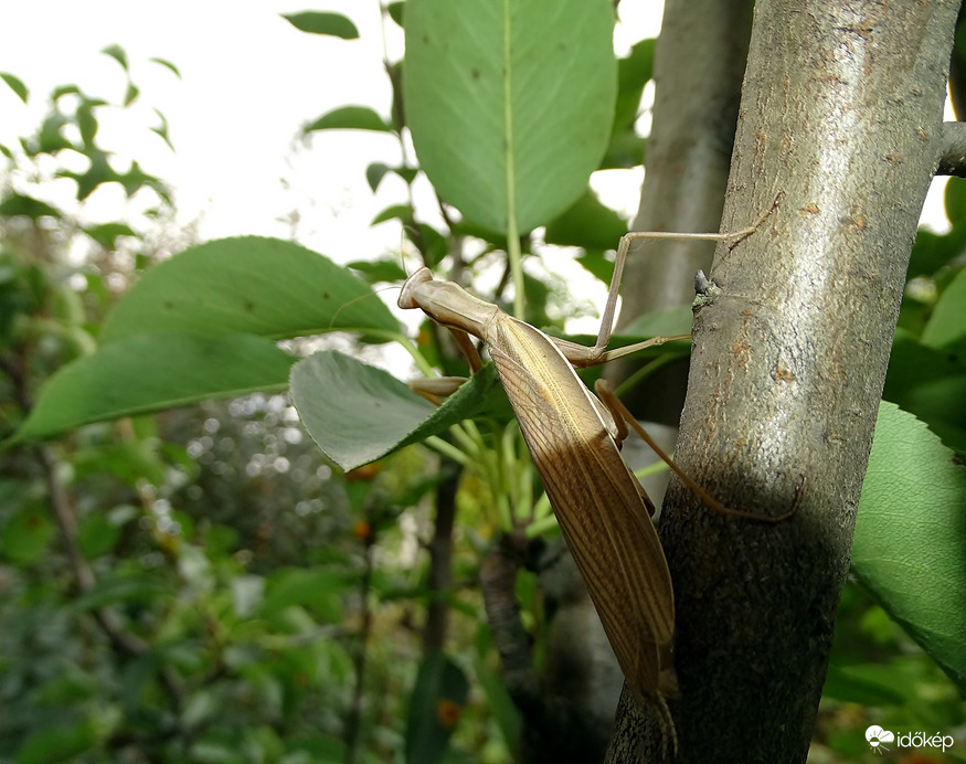 Találkozunk a naposabb oldalon 