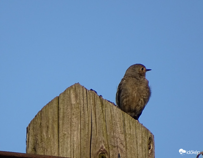 Most, hogy a vércsét elhajtottam
