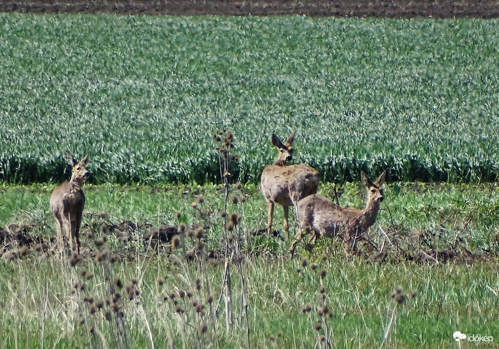 Egy csoportkép erejéig 