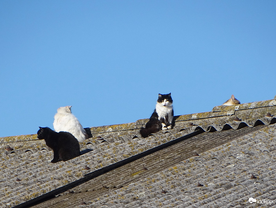 Reggel még minden oké volt! 
