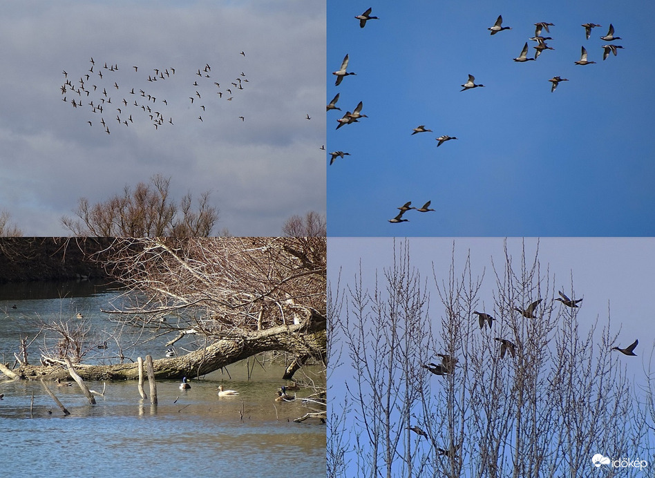 Hernád folyó  és környéke