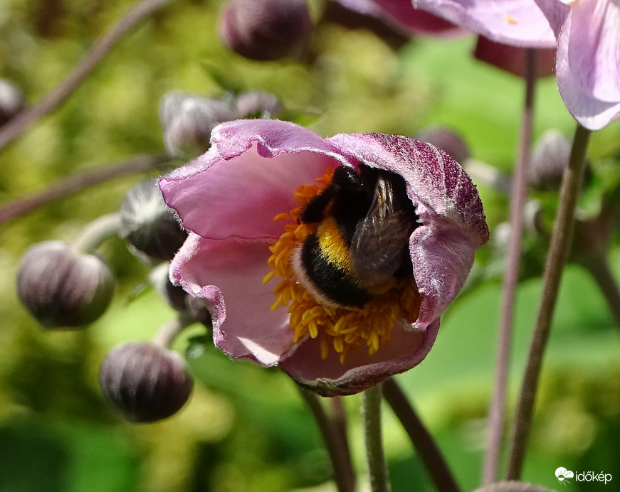 Szűkös helyeken is, ha szükséges  