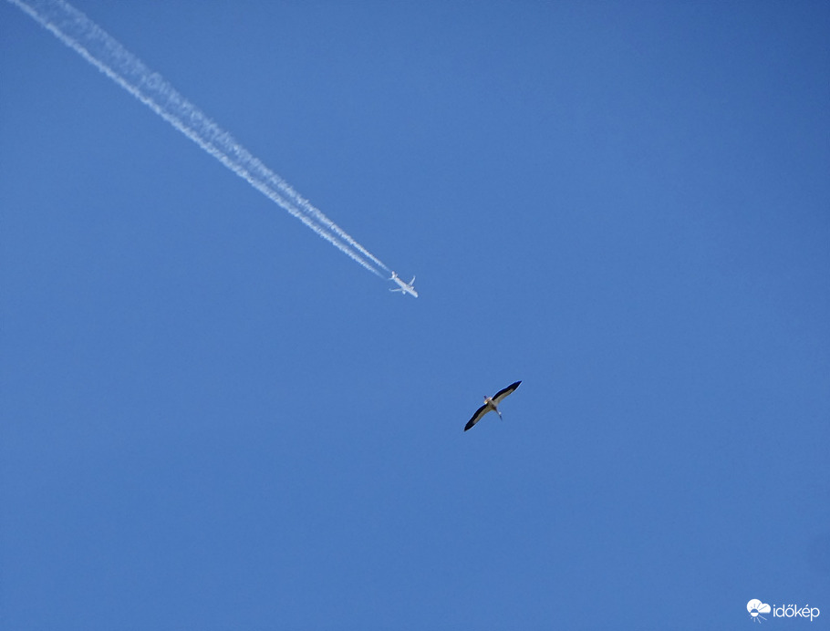 Mai lecke, sávtartás 