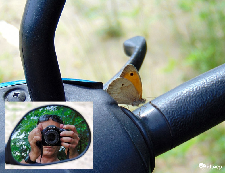 Az érdeklődés kölcsönös