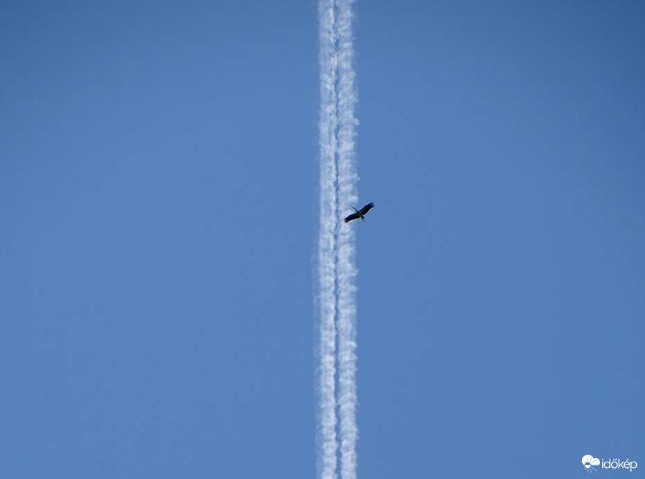 Határsértés, tettenérés