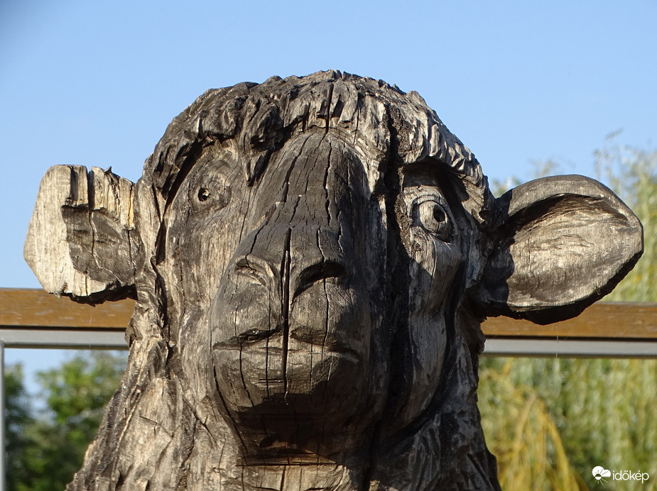 Egyesek szerint bot fülem van