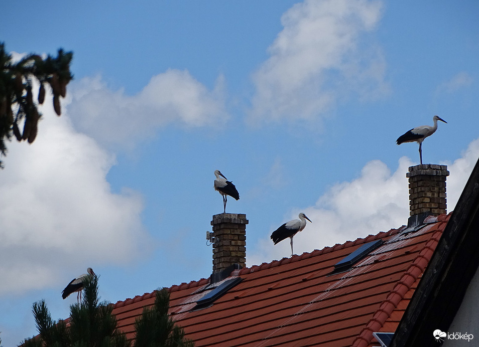 Szétszóródva, de mégis együtt 