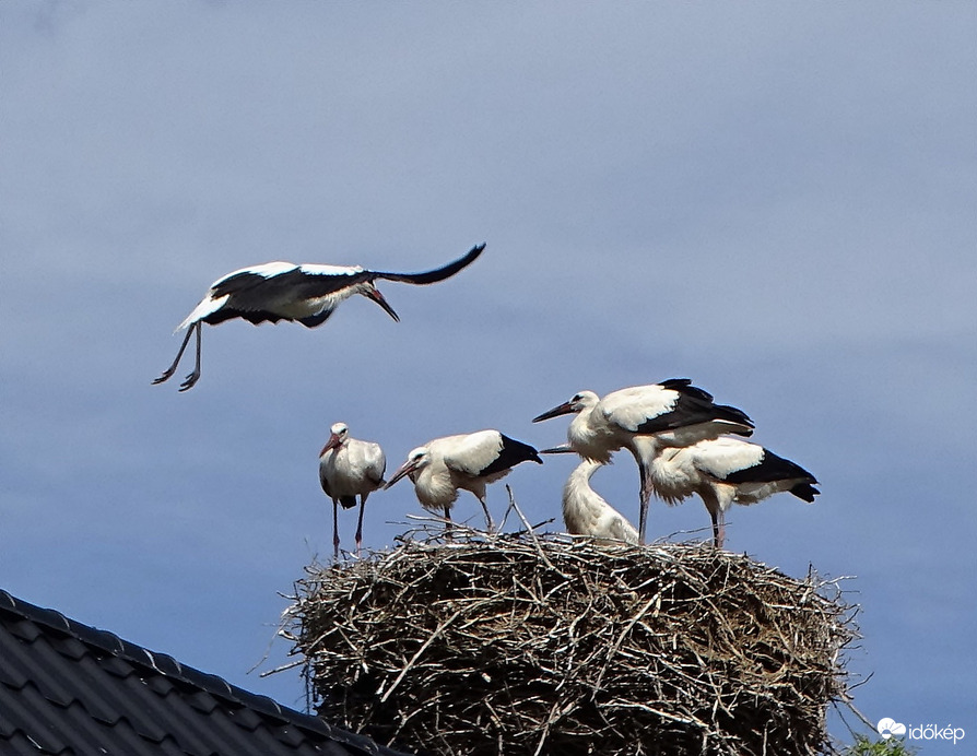 Te már nem férsz el!