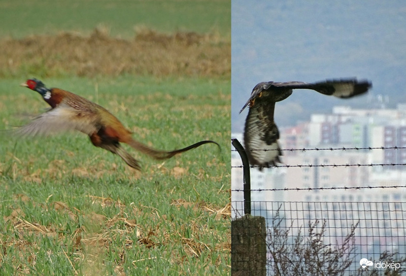 Amikor a pózolásnak vége
