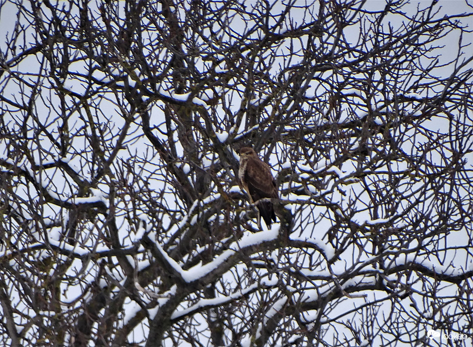 Csak a  szemét használja még más az agyát játtsza 
