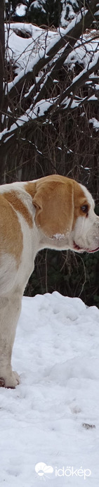 Nincs kezdete és nincs vége