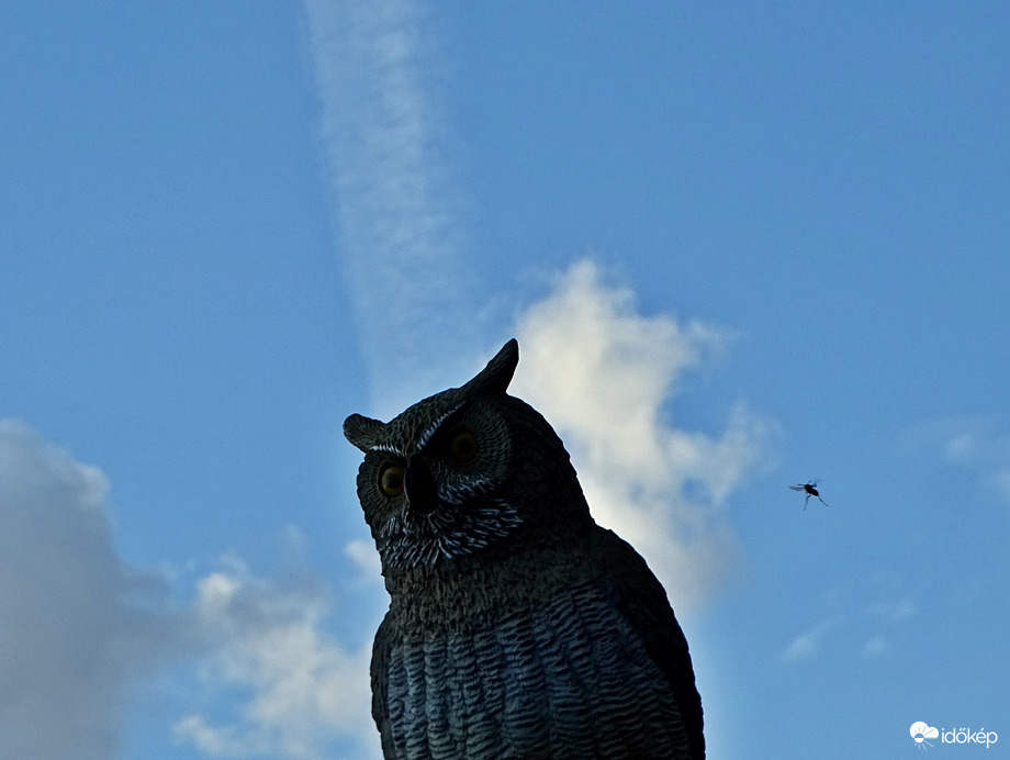 Úgy értsem hogy támadás?  