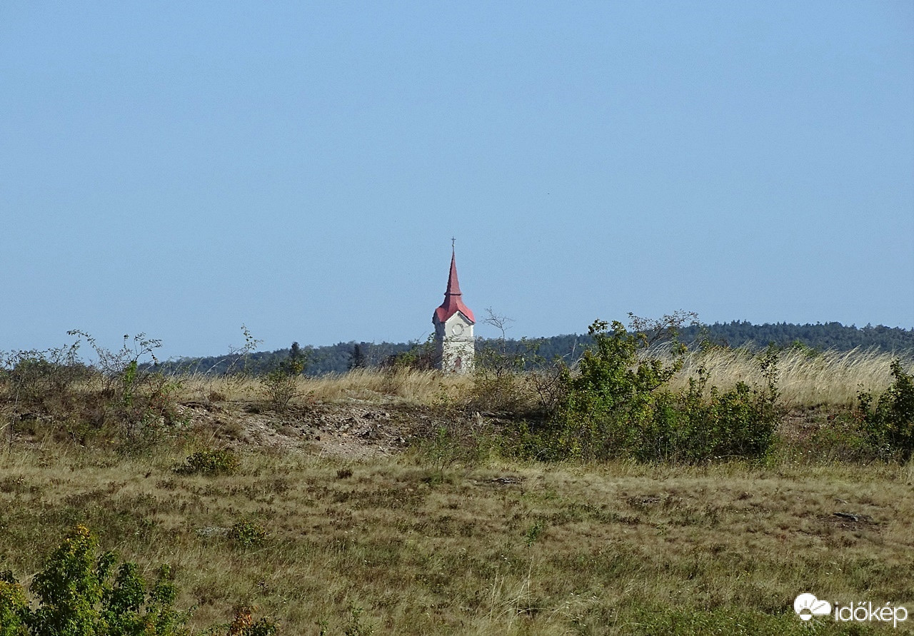 Kinőtt
