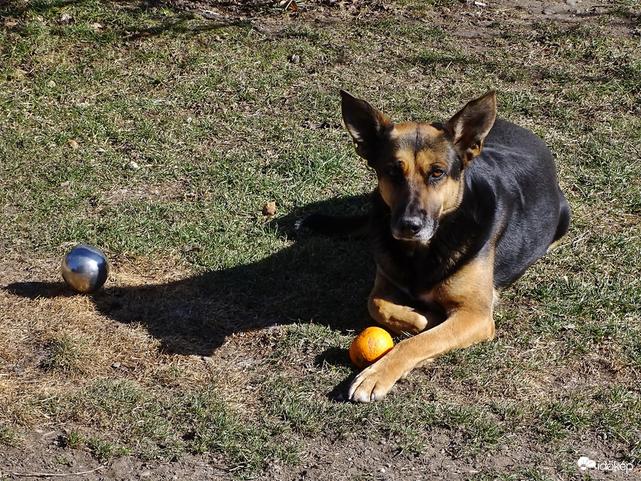 Válassz jó gömböt magadnak!