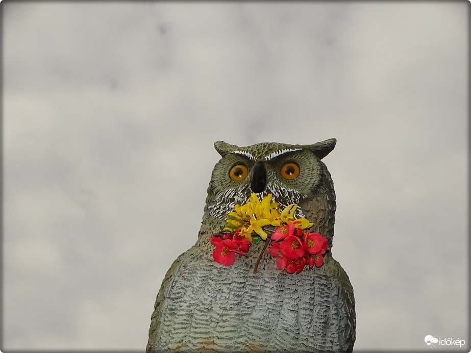 Elmúlt a remegésem, 