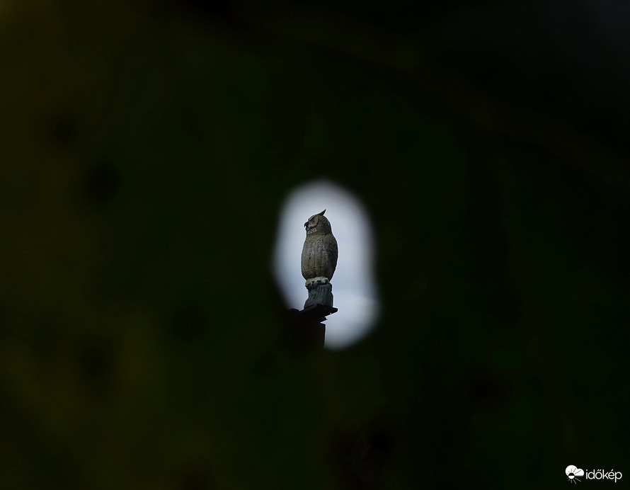 Holnaptól hétfő! 41. hét 