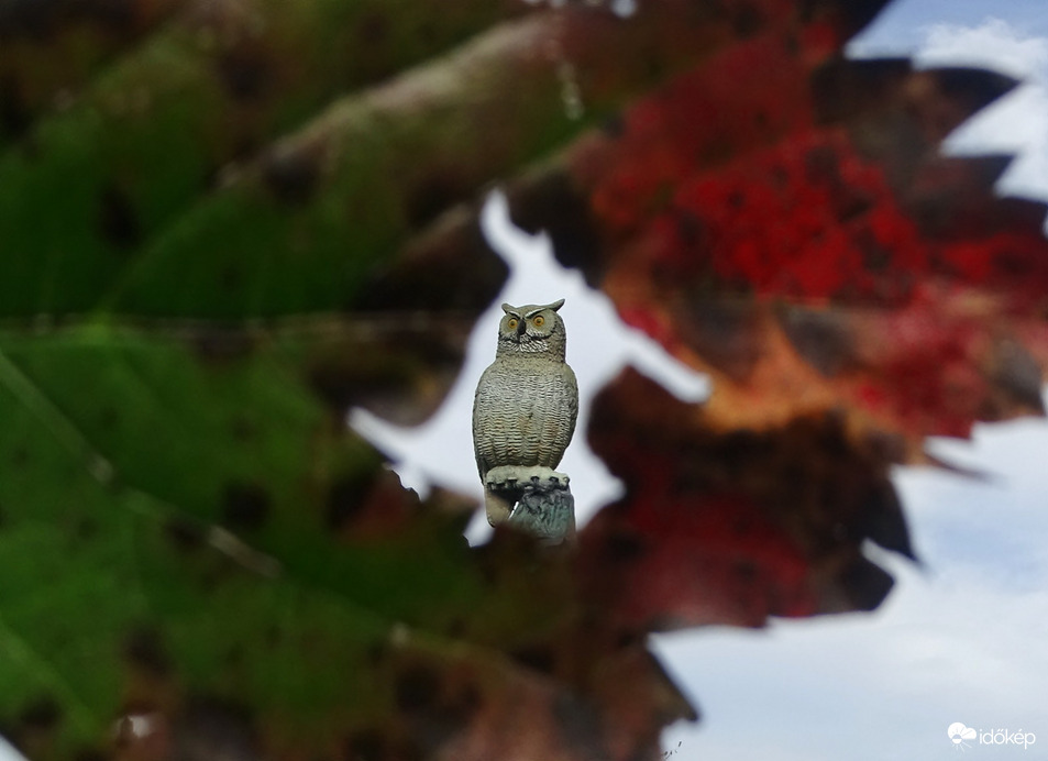 Állítólag betörni készül a hideg! 