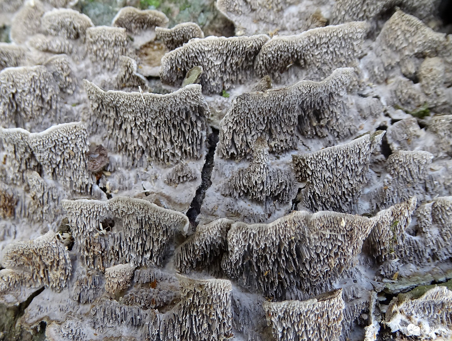 Nem ám cseppkőbarlangban  