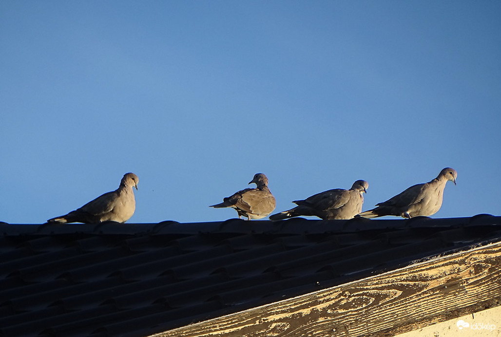 Naplementéhez készülődve  