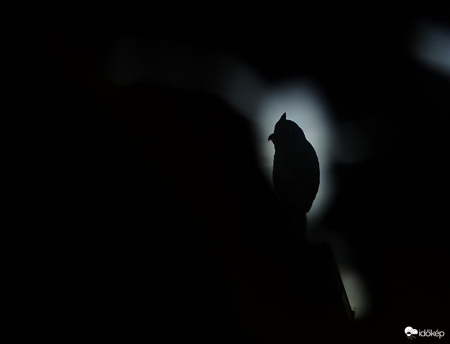 Én már holnapra gyúrok