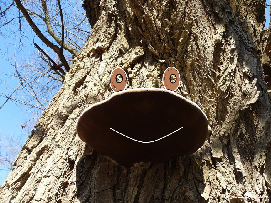 Sokat ütött már az óra,