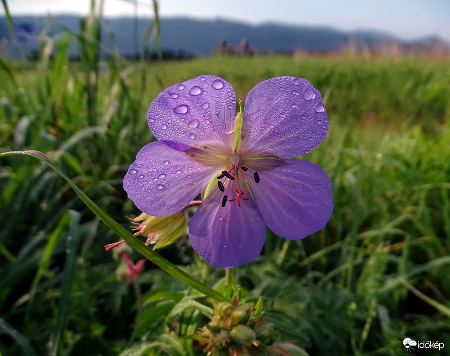 Magas-Tátra környékén