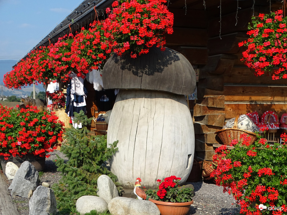 kb. 10 XL-es  tinóru növendék 