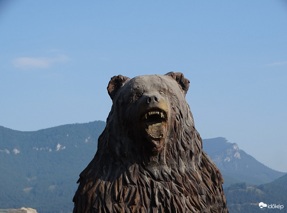 A nyugalom megzavarására alkalmas