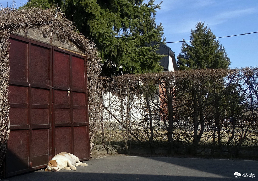 Legyen ez az Én napom!