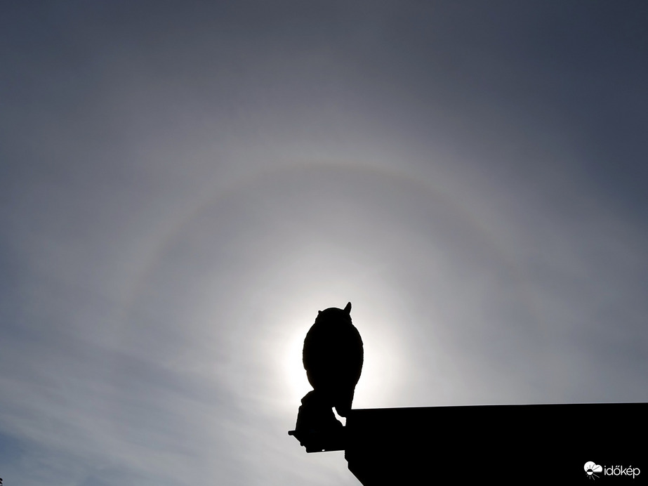 A kör közepén várok