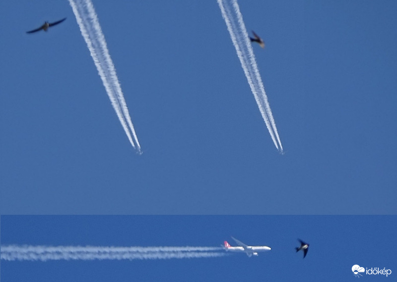 Amikor az üldözőből üldözött válik 