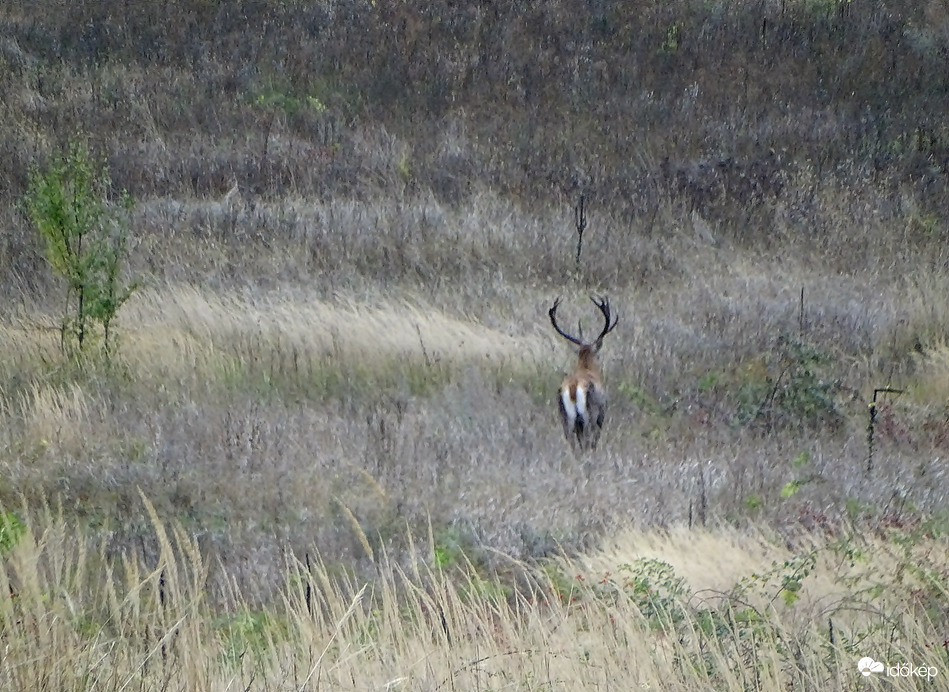 Suhanás a távolban