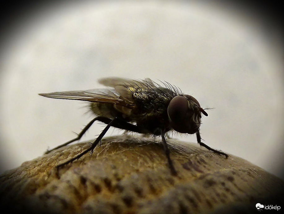 Már látom az alagút elejét  