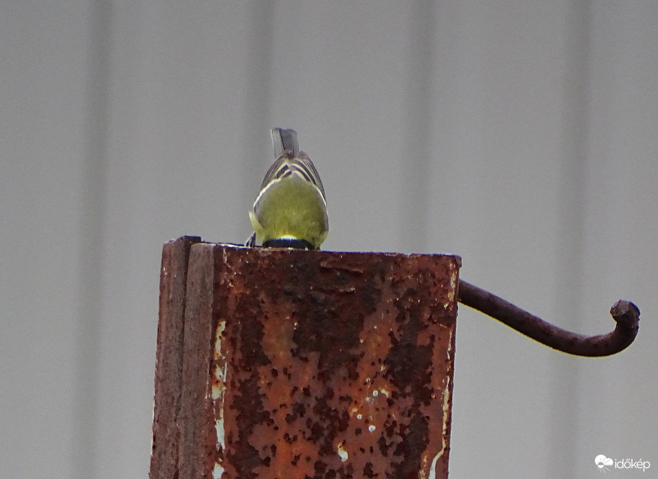 Mély elemzés közben 