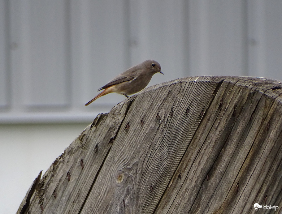 Itt valami nem gömbölyű 1