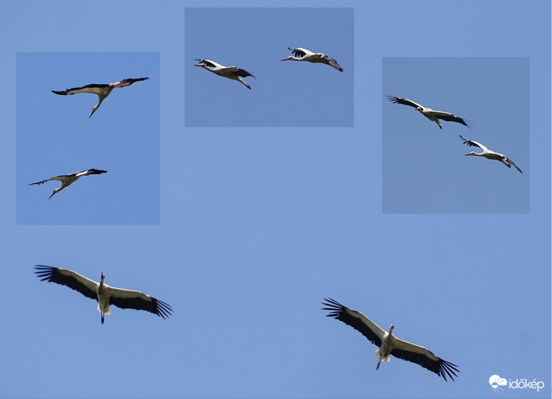 Elszálltak "maguktól"