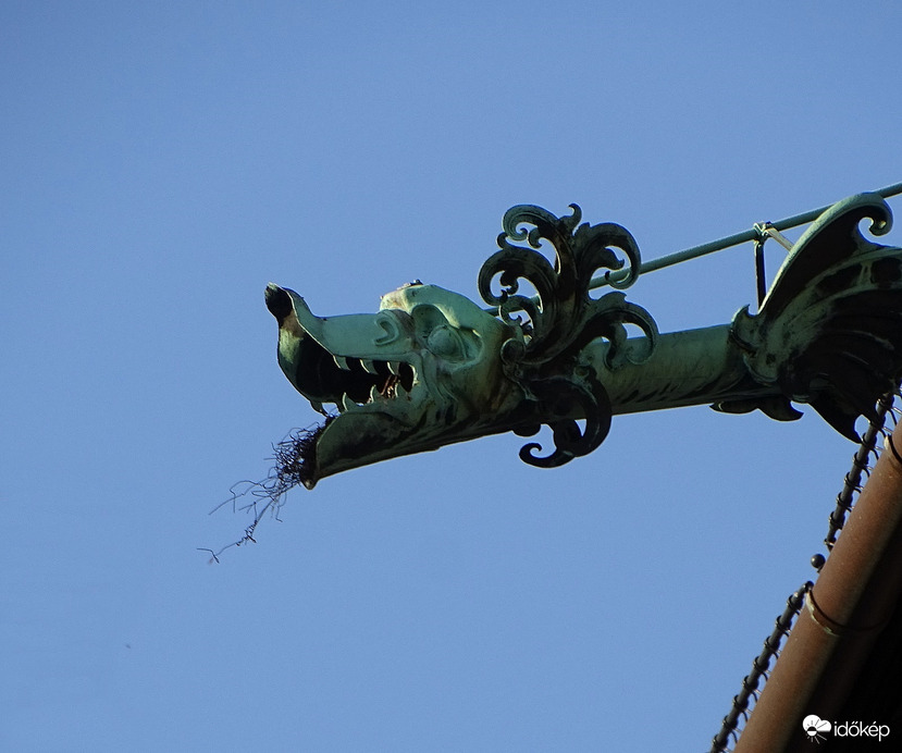 Idei bátorságpróba 1. helyezett 