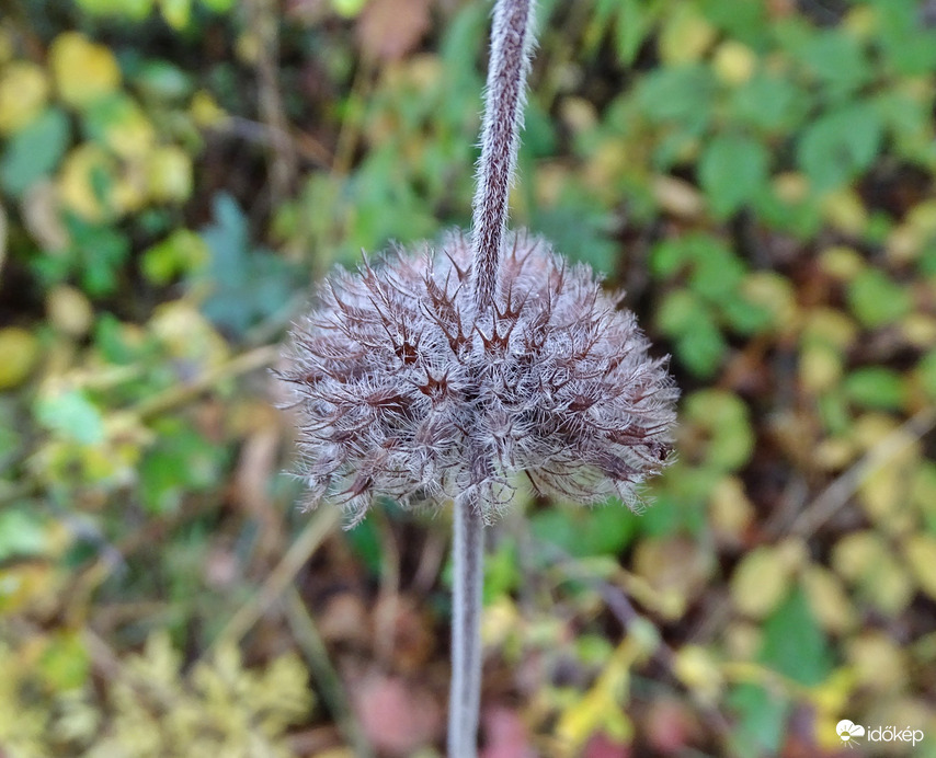 Függök is, lógok is  