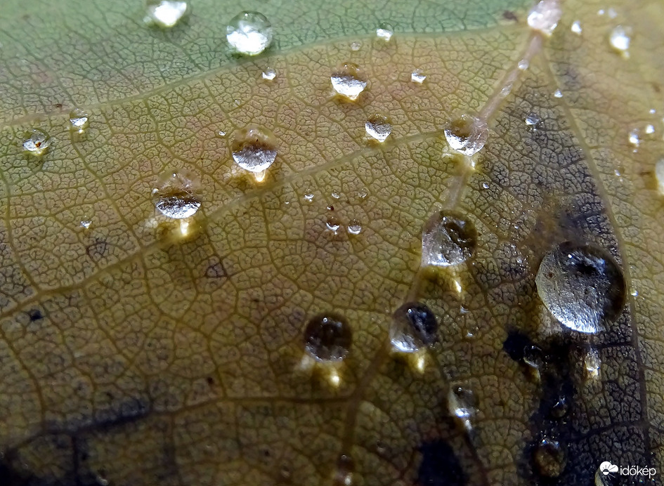 Hangulatvilágítás 